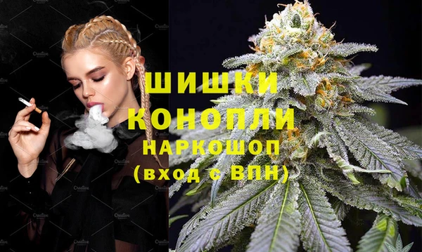 spice Верея