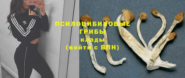 spice Верея