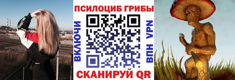 Псилоцибиновые грибы Magic Shrooms маркетплейс клад Карачев